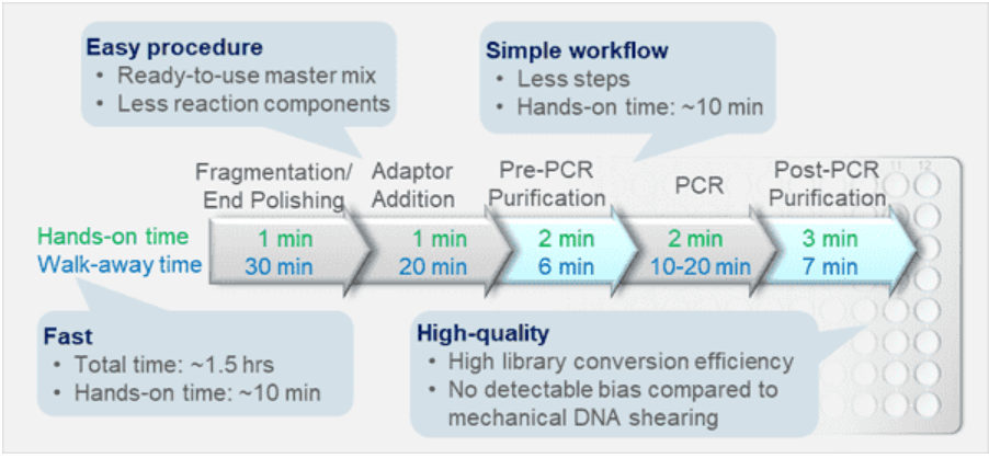 BioDynami NGS DNA片段&建库试剂盒工作流程