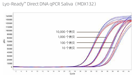 Lyo-Ready™ 可冻干唾液直扩qPCR（MDX132）扩增对比图