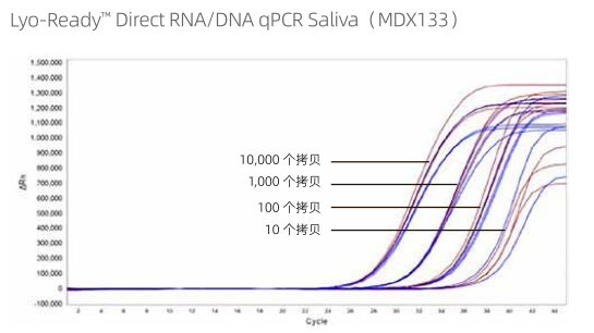 Lyo-Ready™ 可冻干唾液直扩RT-qPCR预混液（MDX133）扩增对比图
